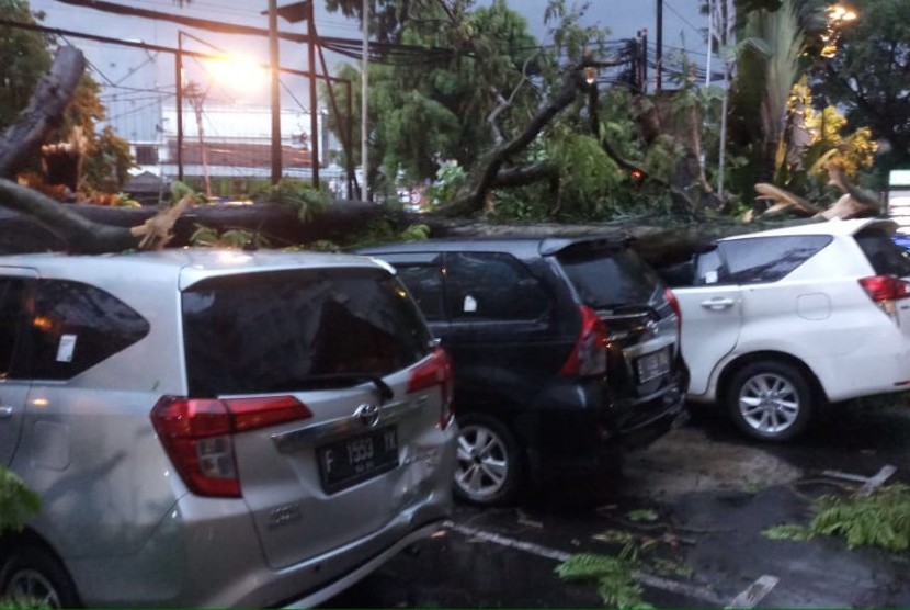 Hujan deras disertai angin kencang di wilayah Kota Bandung dan Kabupaten Bandung yang berlangsung 1 jam lebih menyebabkan belasan pohon tumbang. Sebagian bahkan menimpa beberapa mobil, Rabu (18/12).