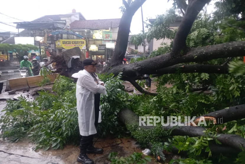 Puting Beliung Sebabkan Pohon Tumbang, Bilboard dan Atap Bangunan Rusak di Bandung