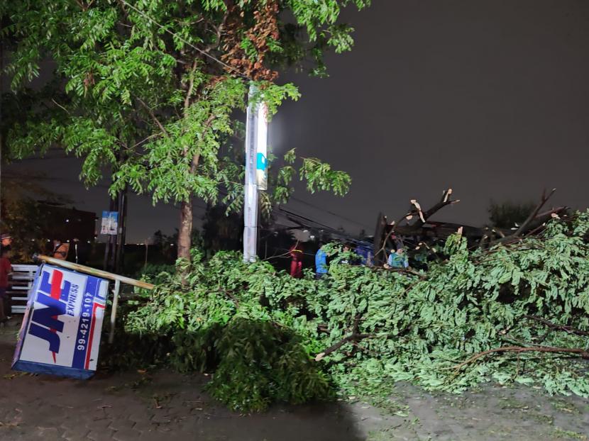 Hujan deras yang mengguyur wilayah Kota Bandung, Kamis (21/10) sore menyebabkan sejumlah pohon tumbang di beberapa titik. Terdapat kendaraan milik warga yang rusak akibat tertimpa pohon tumbang dan sempat menutupi jalan bagi para pengendara.