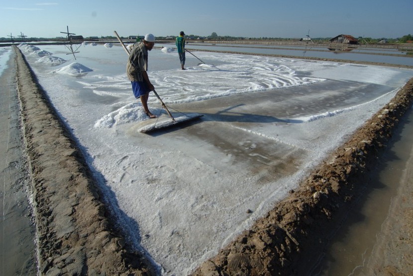 Petani memanen garam di lahan garam konvensional di Desa Bunder, Padewamu, Pamekasan, Jawa Timur, Selasa (25/7).