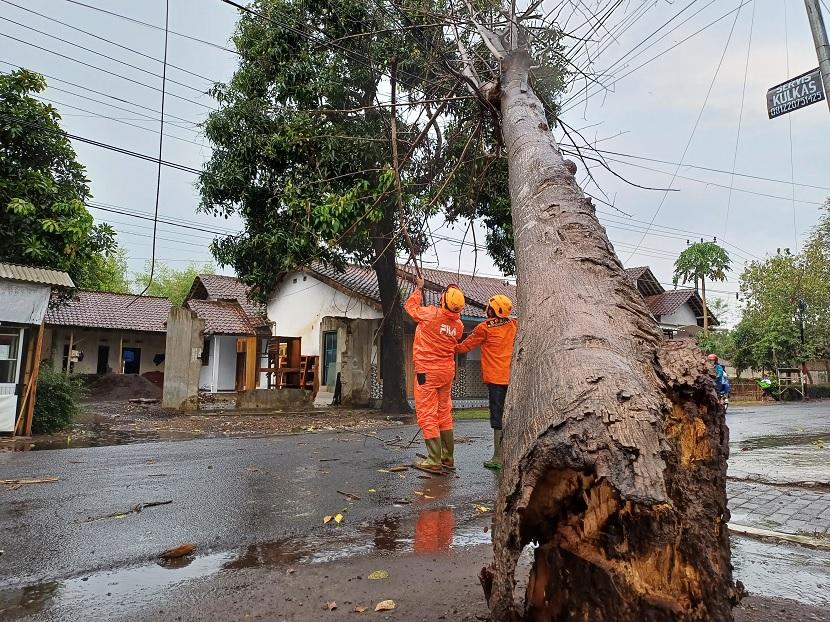 Hujan lebat dan angin kencang tersebut menyebabkan pohon tumbang dan menimpa rumah warga di Bondowoso, Jawa Tengah.