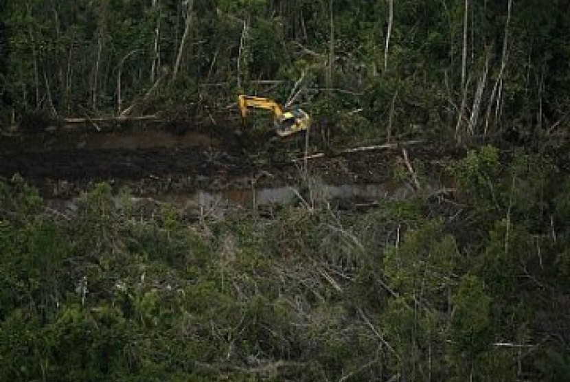 Ilustrasi Hutan