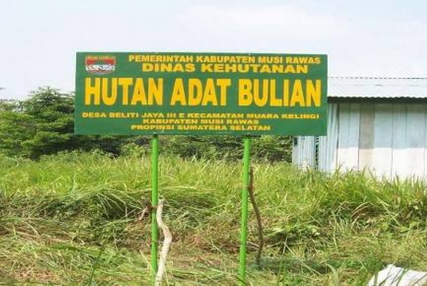 Hutan Adat (ilustrasi)