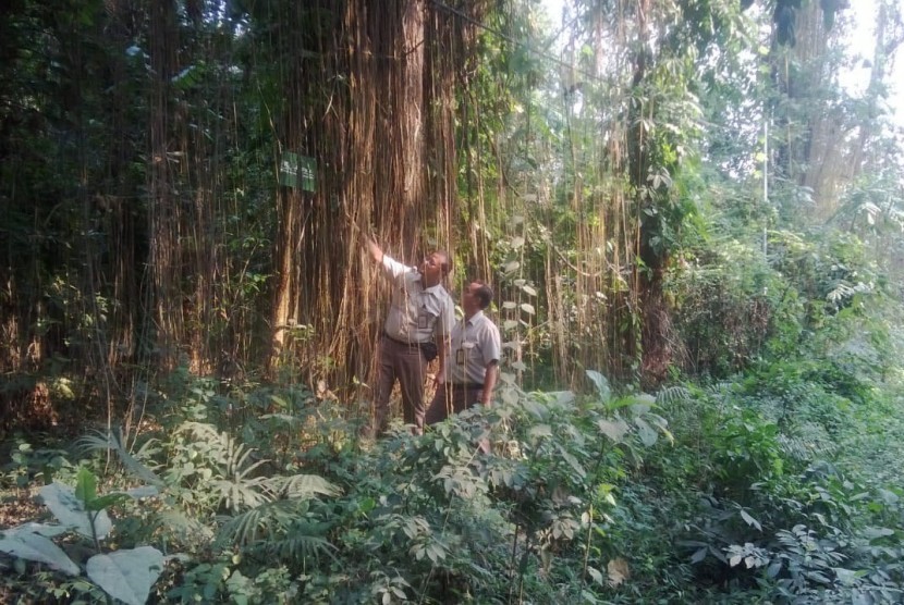 Hutan keanekaragaman hayati milik PT Pupuk Kujang Cikampek. Di hutan yang luasnya mencapai 47,7 hektare ini, terdapat 27 spesies pohon langka khas Jawa Barat. 