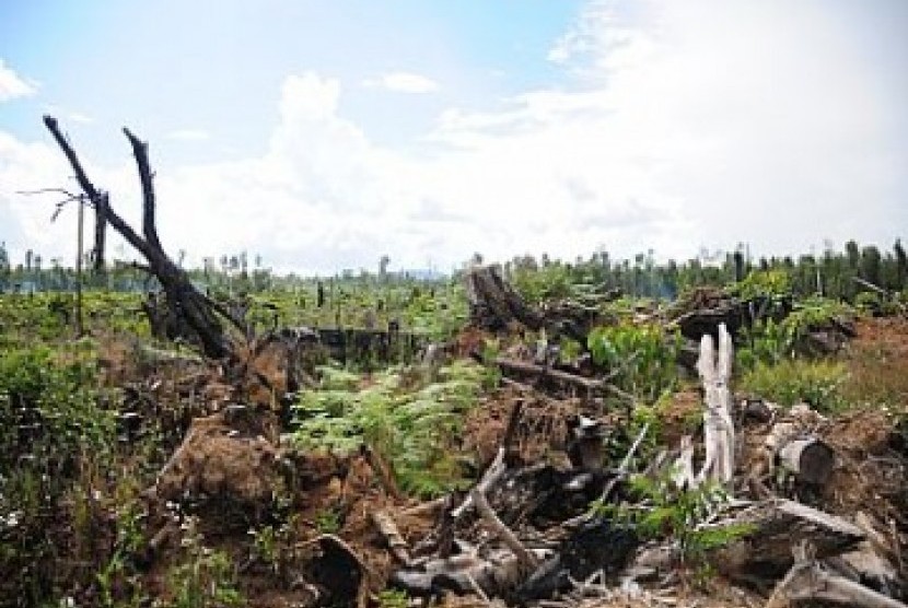 Hutan kritis, ilustrasi