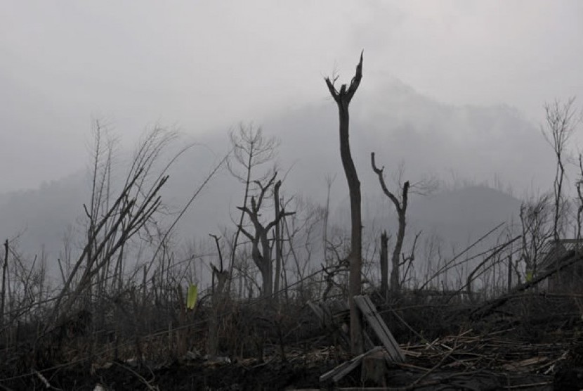 Hutan rusak akibat diterjang awan panas dan material vulkanik letusan Gunung Merapi 2010 lalu (ilustrasi)