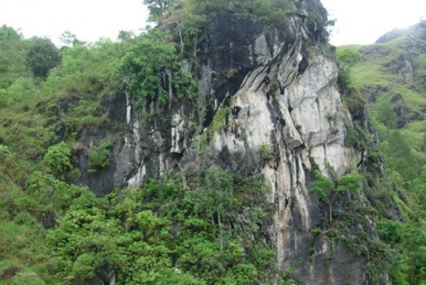 Hutan sekitar Danau Toba (ilustrasi)