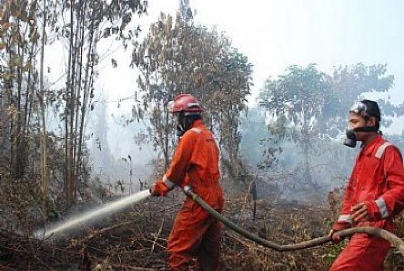 Hutan terbakar, ilustrasi