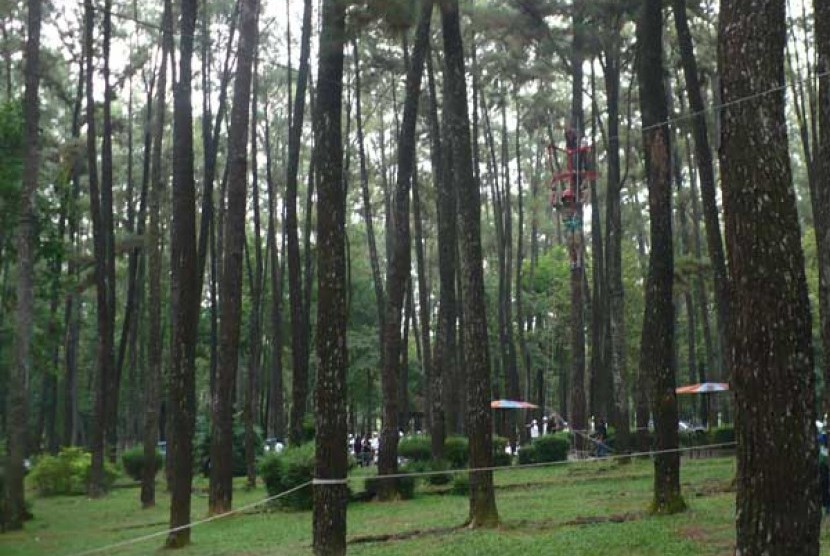 Hutan wisata Punti Kayu Palembang