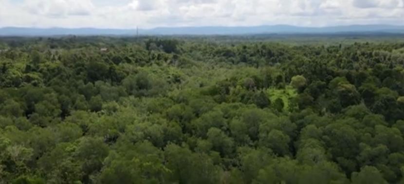 DLH Hentikan Sementara Proyek Perumahan di Lereng Bukit Soreang