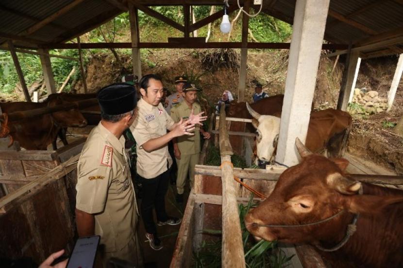 Ketua Fraksi Partai Demokrat DPR RI, Edhie Baskoro Yudhoyono,  menilai pentingnya petani pergunakan pupuk organik dengan beragam manfaat 
