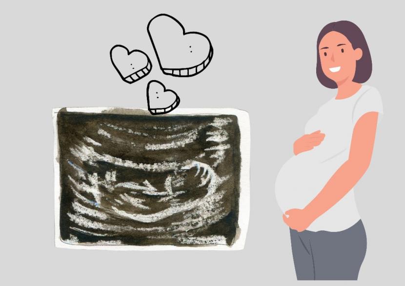 Ibu hamil (ilustrasi). Memiliki dua rahim, kandungan ibu asal Australia diperkirakan tak akan bertahan karena rongga perutnya tidak memiliki cukup ruang bagi janin untuk tumbuh. 