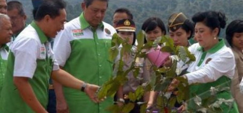 Ibu Negara Ani Yudhoyono (kanan) disaksikan Presiden Susilo Bambang Yudhoyono (dua kiri) dan Menteri Kehutanan Zulkifili Hasan (kiri), menyiram pohon Tangkil (Gnetum gnemon) dalam kegiatan menanam pohon serentak di kawasan Bukit Merah Putih, Sentul, Bogor,