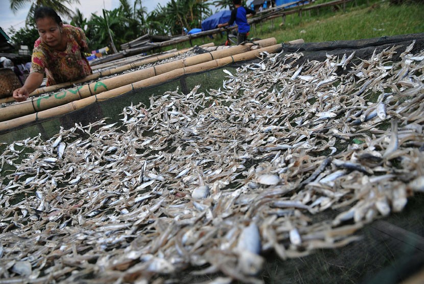 Ikan asin.  (ilustrasi)Suku Dinas Ketahanan Pangan Kelautan dan Pertanian (Sudin KPKP) Jakarta Pusat menindaklanjuti temuan ikan asin mengandung formalin dan daging busuk di sejumlah pasar tradisional di wilayah tersebut.