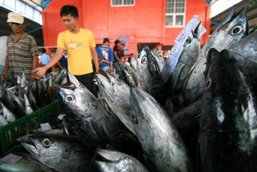 Ikan berbau amis.Bau kuat dan amis yang terkadang muncul adalah tanda pertama pembusukan.  (ilustrasi)