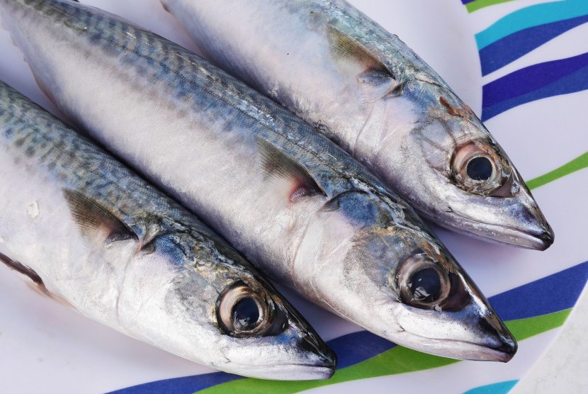 Ikan mackerel, salah satu makanan kaya DHA.