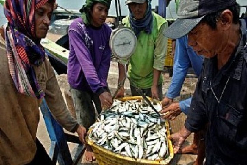 Ikan tangkapan nelayan