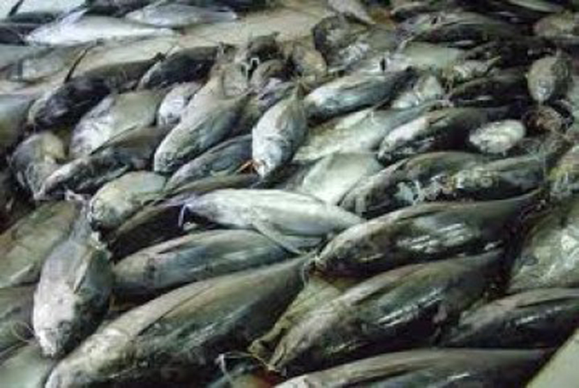 Ikan tangkapan nelayan Indonesia