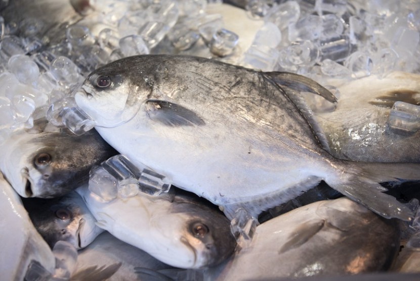 Konsumsi ikan tilapia dikaitkan dengan risiko sakit kanker hingga alzheimer.