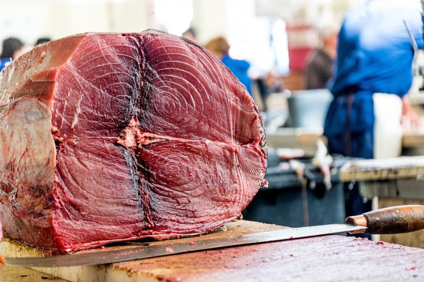 Ikan tuna. Benarkah makan tuna berlebihan bisa menyebabkan keracunan merkuri? (ilustrasi)