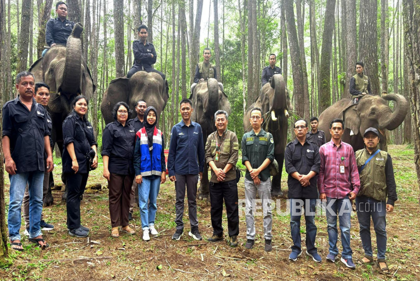 Ilham Pasaribu, Mahout atau Pawang Gajah di Aek Nauli