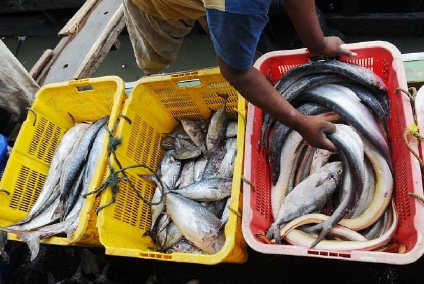 Illegal fishing mainly occurs near South China Sea, Arafura Sea, Sulawesi Sea, and other sea borders in Indonesia. (illustration) 