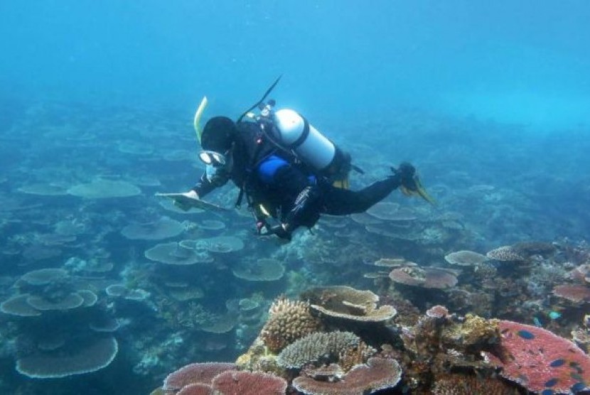 Ilmuwan AIMS mensurvey terumbu karang di Townsville
