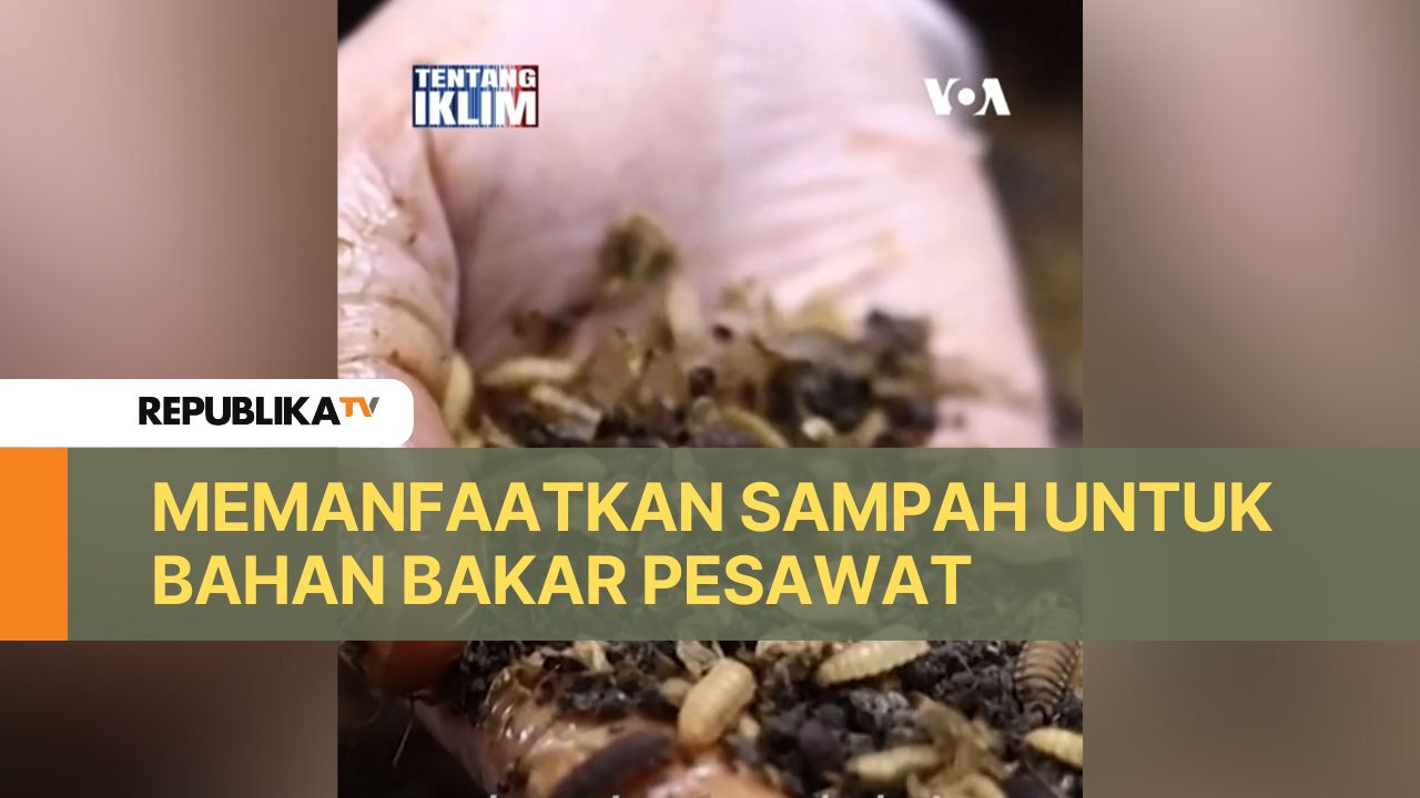 Memanfaatkan Sampah Bekas Makanan Jadi Bahan Bakar Pesawat