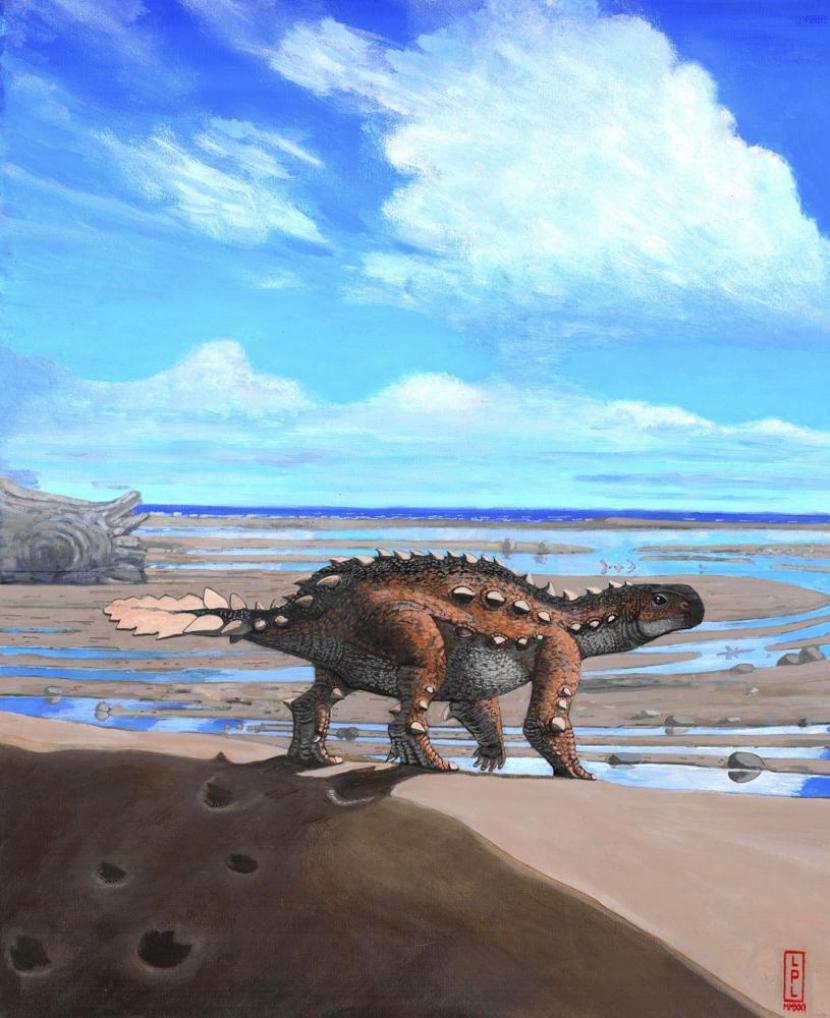 Ilmuwan menemukan fosil dinosaurus jenis baru di Cile. Dinosaurus ini mirip stegosaurus.