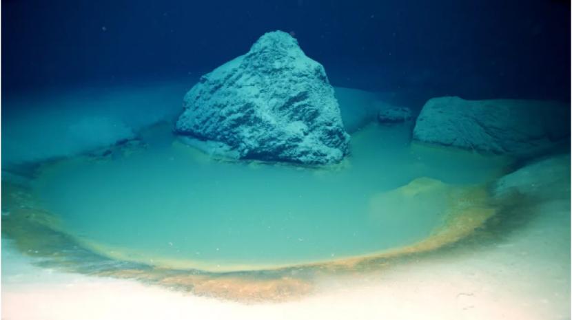 Ilmuwan menemukan kolam air asin di Laut Merah.