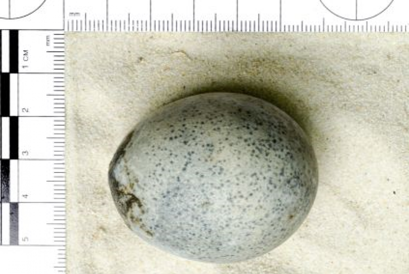 Ilmuwan menemukan telur yang terkubur selama 1.700 tahun.