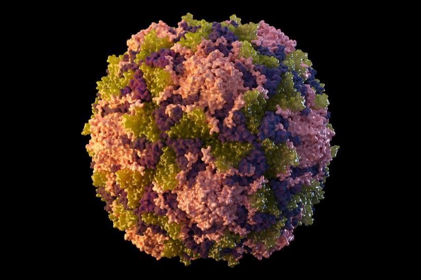 Virus Covid-19 (nCoV) masuk dalam virus penyebab pernapasan akut.