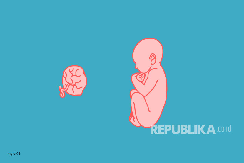 Bayi korban aborsi (ilustrasi). Polisi menggerebek praktik klinik aborsi ilegal di salah satu apartemen di Kelapa Gading, Jakarta Utara.