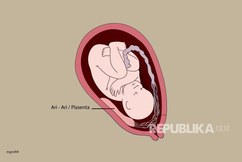 Bayi di dalam perut ibu (ilustrasi). Ibu hamil disarankan melakukan suntik tetanus untuk melindungi bayi yang baru lahir dari risiko penyakit tetanus. 