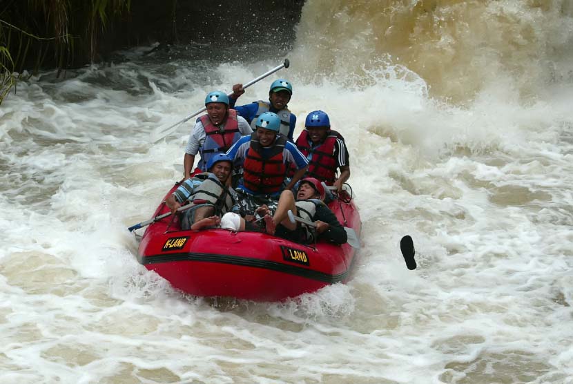 Ilustrasi arum jeram