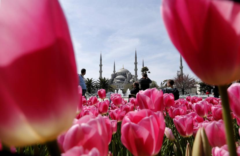 ILUSTRASI Era Tulip dalam sejarah Turki Utsmaniyah atau Ottoman.