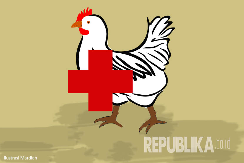 Ilustrasi flu burung. Virus flu burung H5N1 telah diidentifikasi di tujuh peternakan unggas di Prancis.