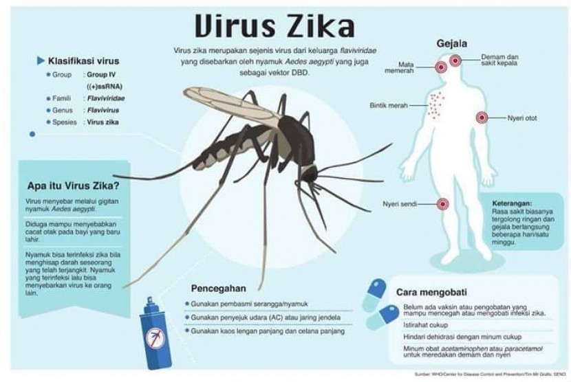 Ilustrasi gejala tertular virus Zika