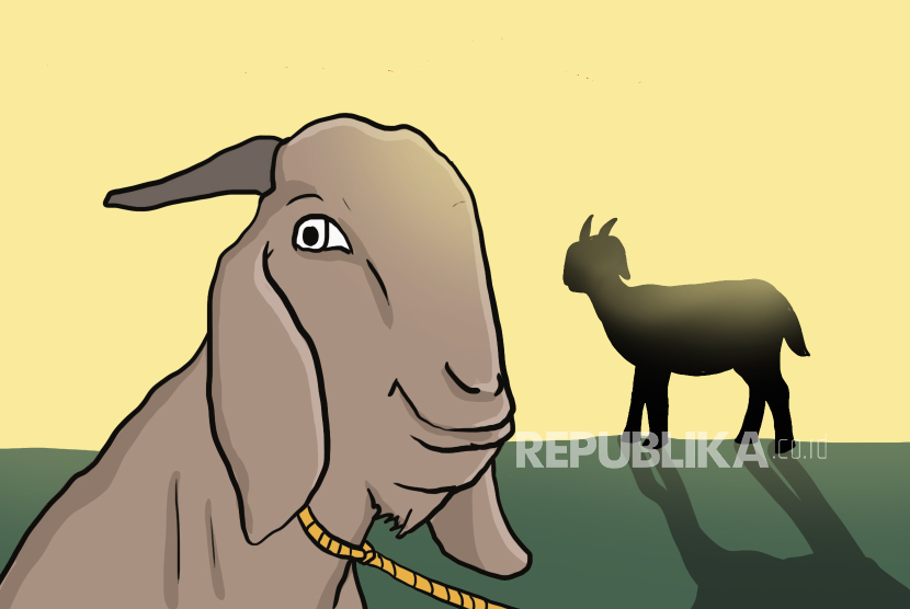 Ilustrasi hewan kurban kambing
