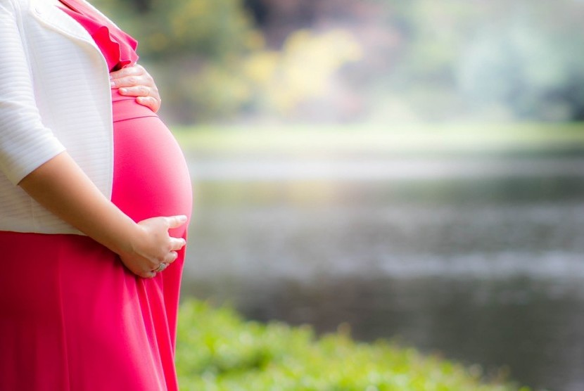 Ilustrasi Ibu Hamil. Orang hamil termasuk dalam kategori orang rentan saat terjangkit Covid-19. 
