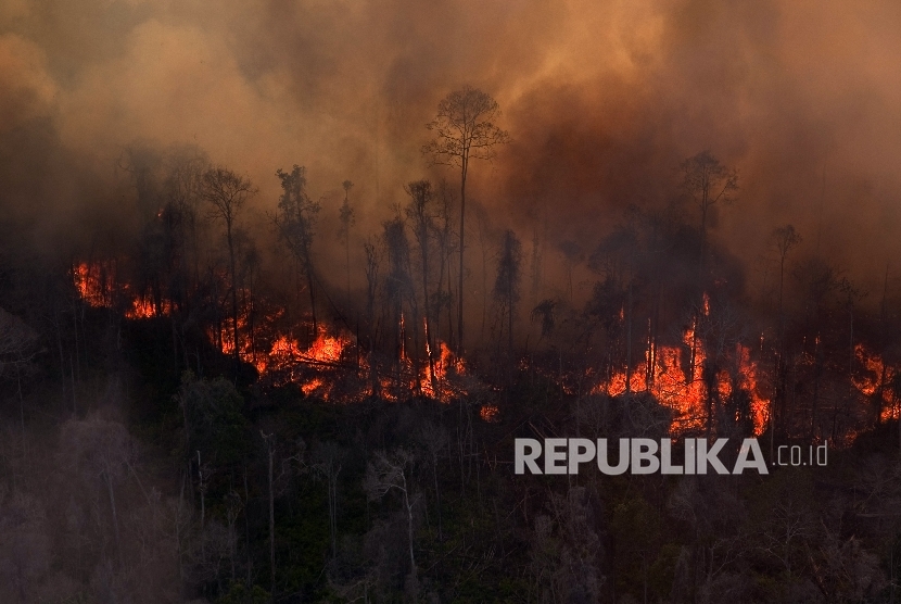 Ilustrasi Kebakaran Hutan. Kebakaran hutan skala besar terjadi di Chile, menyebabkan sedikitnya 23 orang meninggal dunia. Pemerintah Chile pada Sabtu (4/2/2023) memperpanjang perintah darurat ke wilayah lain, karena gelombang panas mempersulit upaya untuk mengendalikan kebakaran.
