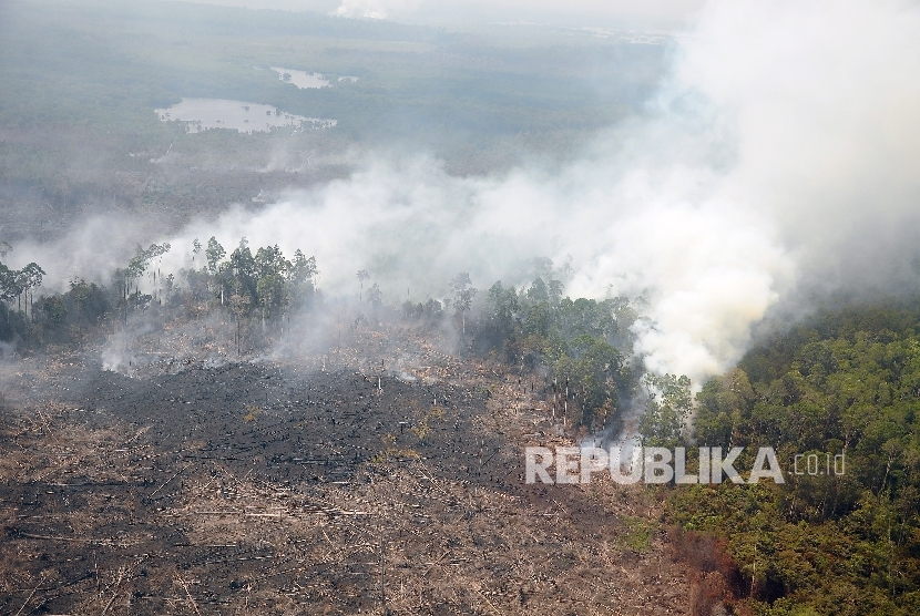 Ilustrasi Kebakaran Hutan. Stasiun Meteorologi El Tari Kupang BMKG mengimbau masyarakat agar mewaspadai kondisi seluruh wilayah di Nusa Tenggara Timur (NTT) yang saat ini berstatus sangat mudah terbakar. 