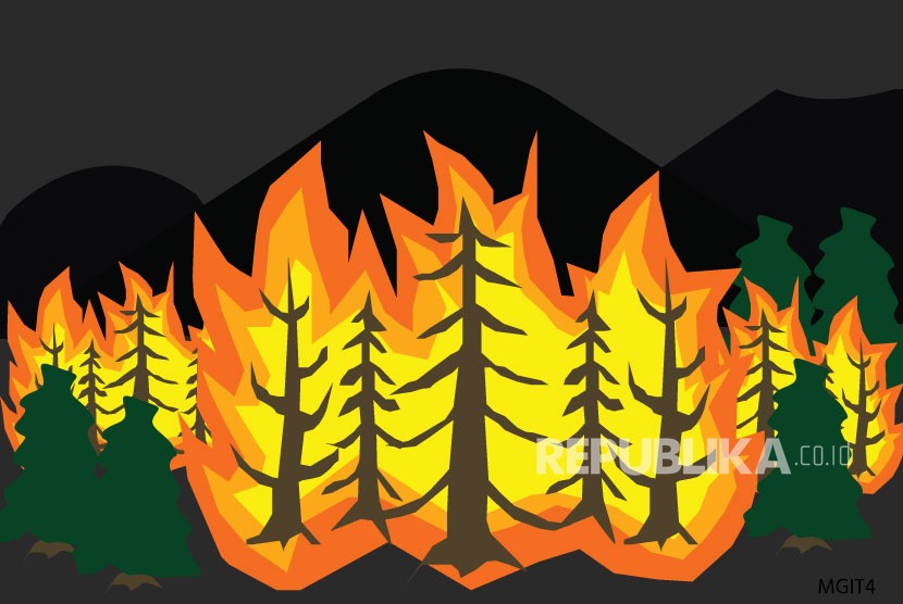 Perusahaan Malaysia Pembakar Hutan di Kalbar Dihukum Rp 917 Miliar  (ilustrasi).