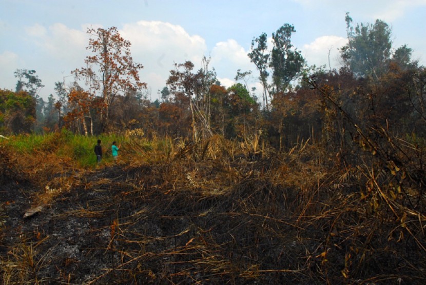 ilustrasi kebakaran hutan dan lahan