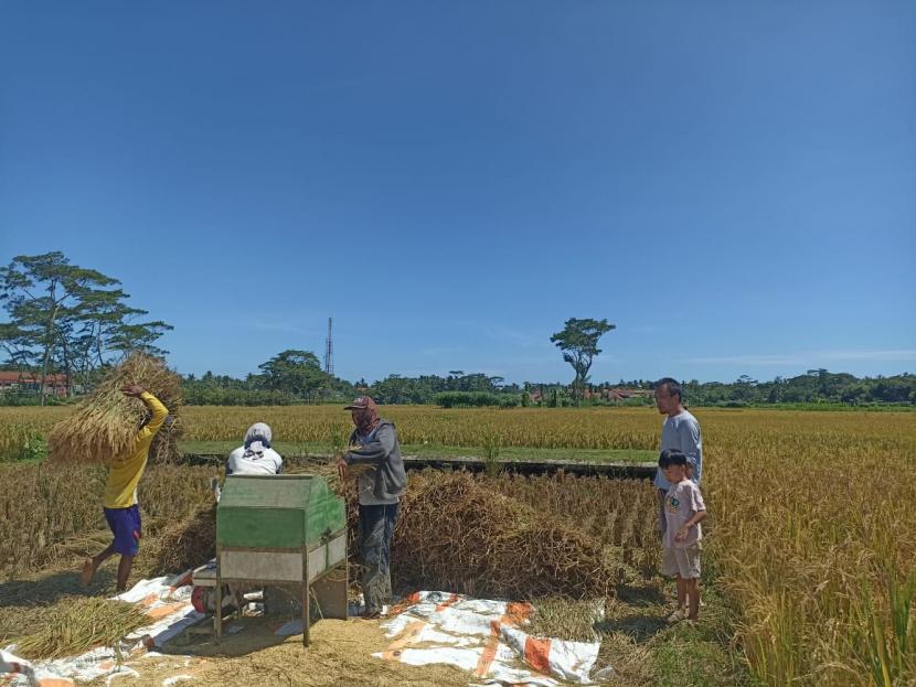 Ilustrasi kegiatan pertanian di desa