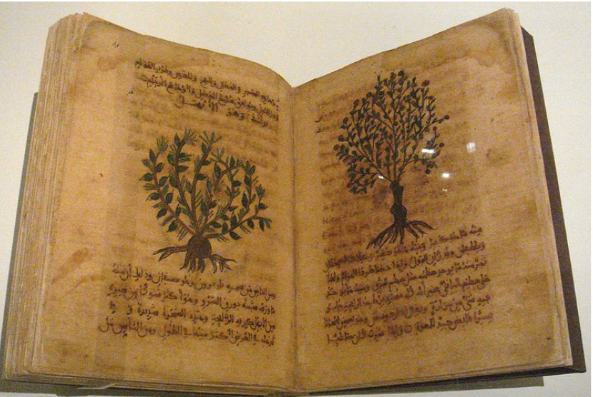 Ilustrasi kitab botani Islam