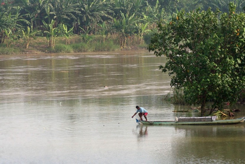 Ilustrasi nelayan menjala ikan di Sungai Bengawan Solo, Kabupaten Bojonegoro, Jawa Timur. Investigasi kolaborasi sejumlah kelompok pemerhati lingkungan menemukan bahwa puluhan spesies ikan telah punah di sejumlah sungai besar di Pulau Jawa. 