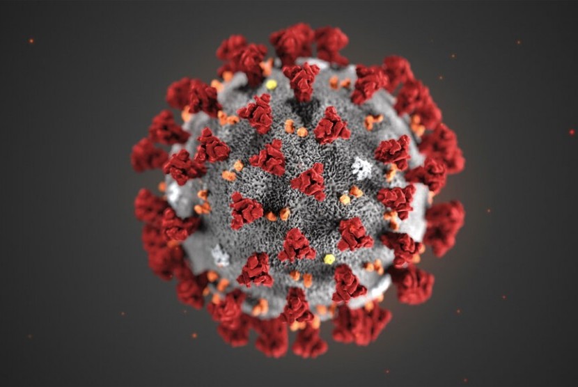 Ilustrasi Novel Coronavirus (2019-nCoV) atau virus corona jenis baru yang disediakan dari Centers for Disease Control and Prevention (CDC). 