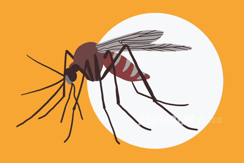 Belum Segenap Sebulan, 37 Kasus DBD Terjadi di Cirebon