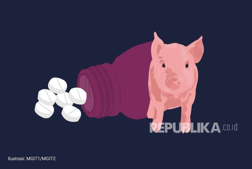 Ilustrasi babi. Islam melarang mengkonsumsi babi berdasarkan teks Alquran dan hadits 